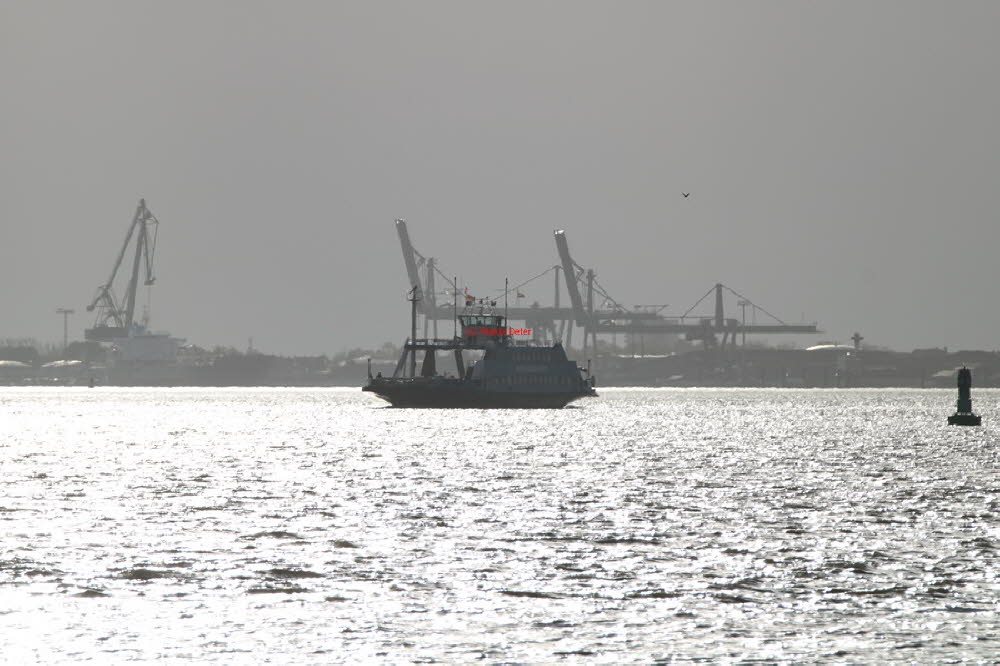 2023 (3206)