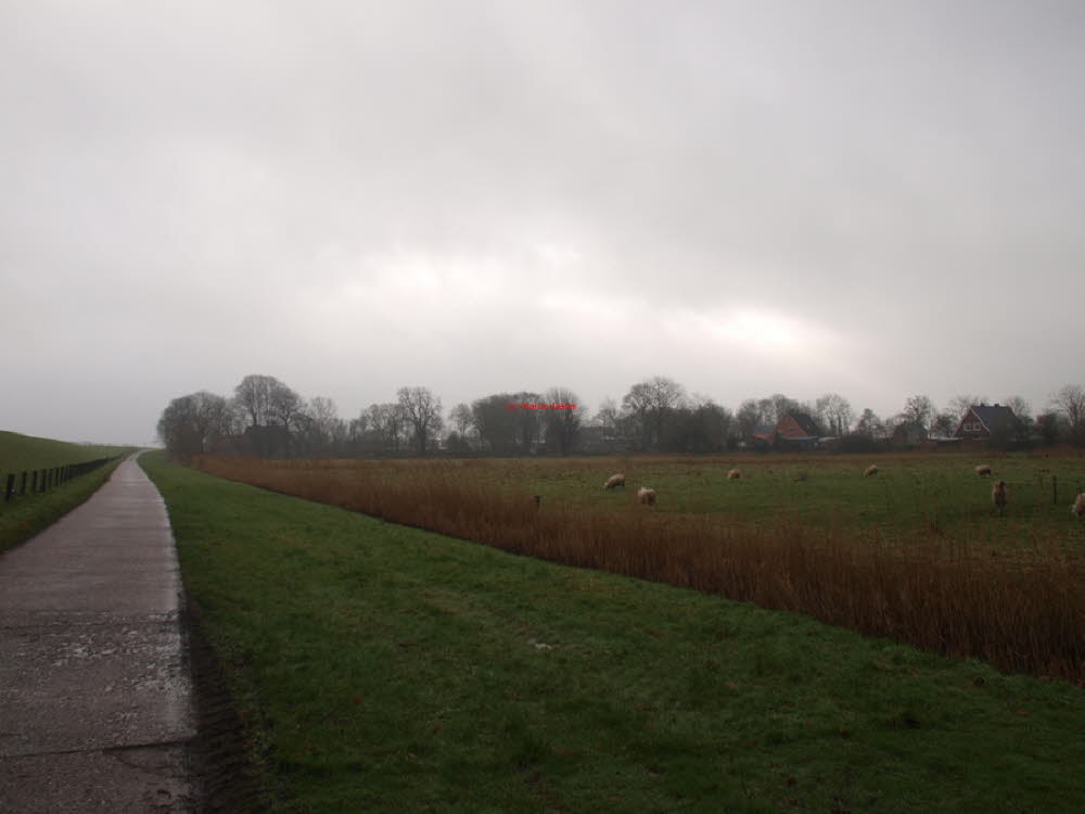 Wesermarsch bei Brake
