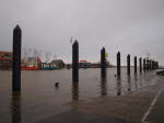 Hafen Fedderwardersiel