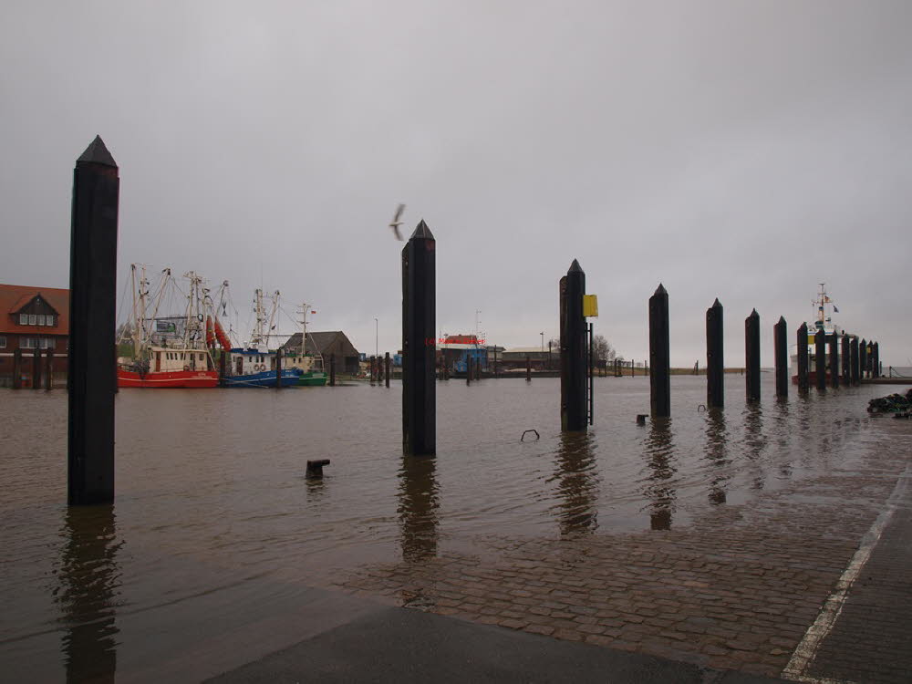 Hafen Fedderwardersiel