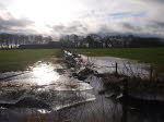 Winterreste in Altenesch