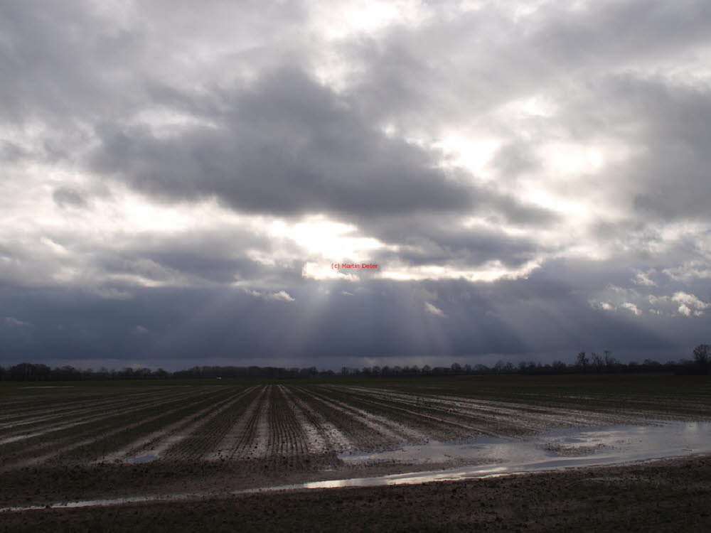 Oberkante Unterlippe