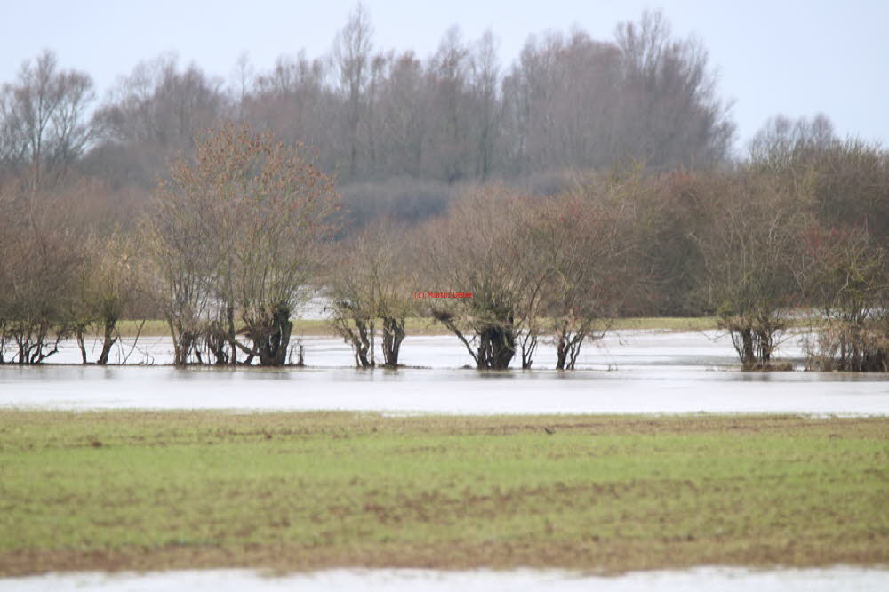 Hochwasser (Landkreis Verden)