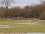 Hochwasser (Landkreis Verden)