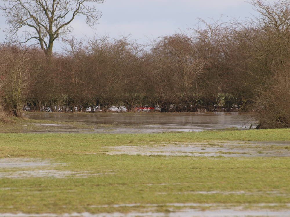 Hochwasser (Landkreis Verden)