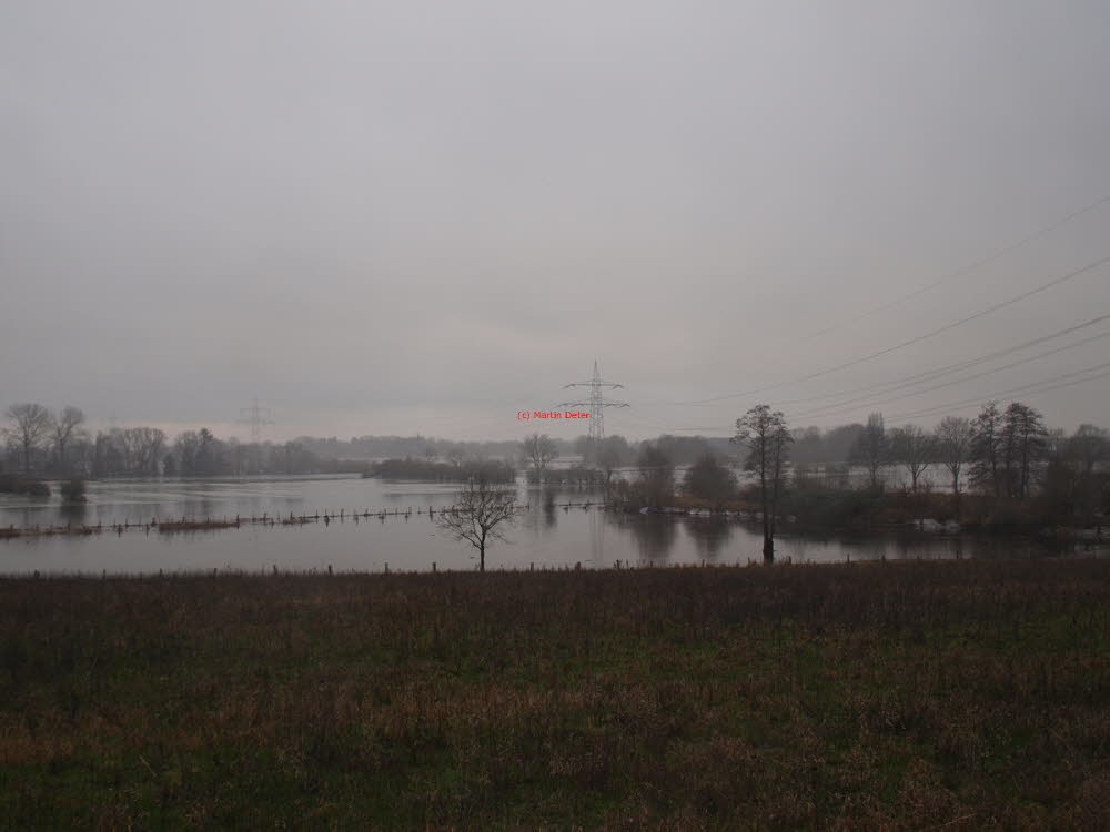 Überflutete Weserniederung bei Cluvenhagen