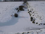 Winterimpressionen