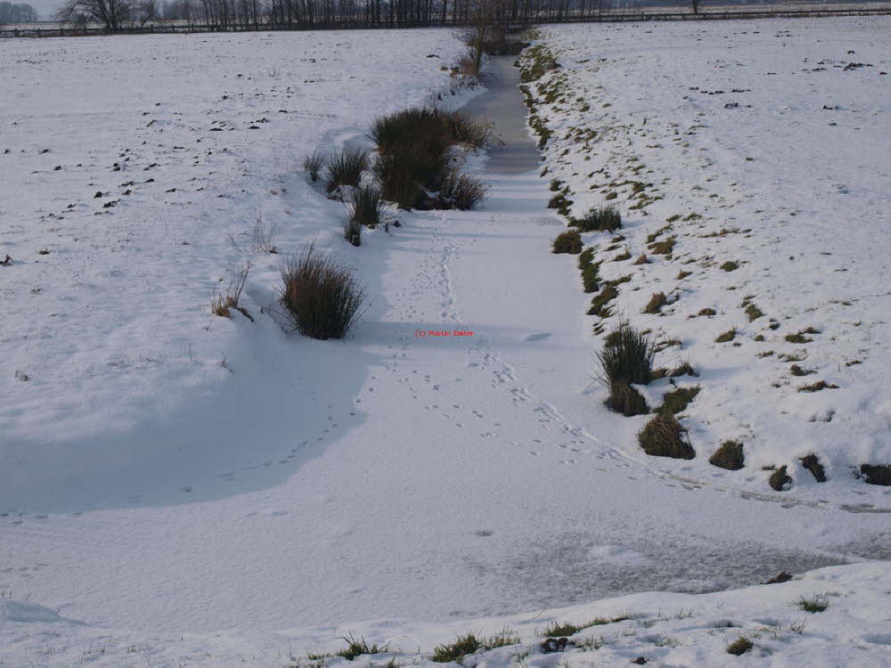Winterimpressionen