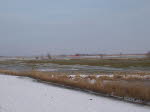 Winterimpressionen