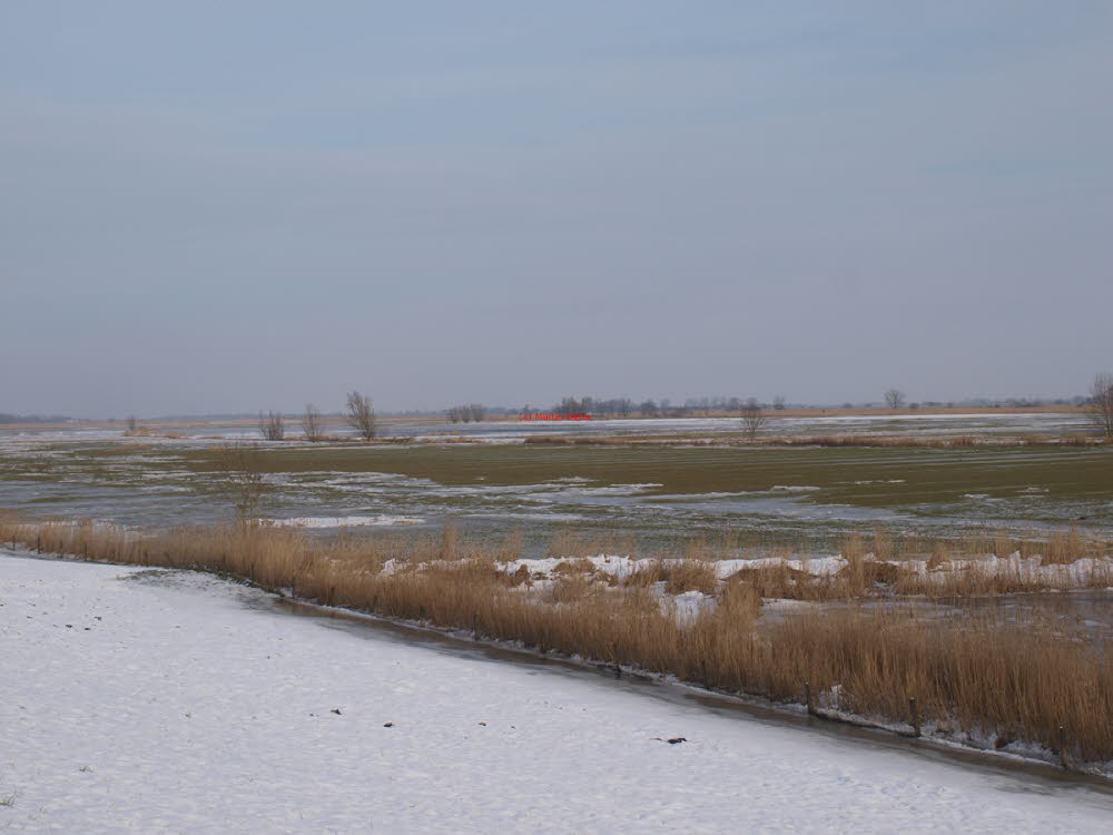Winterimpressionen