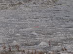 Winterimpressionen