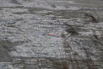 Winterimpressionen