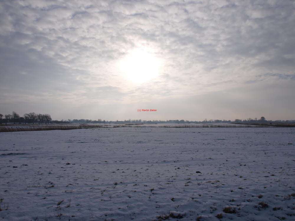 Winterimpressionen