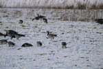 Winterimpressionen