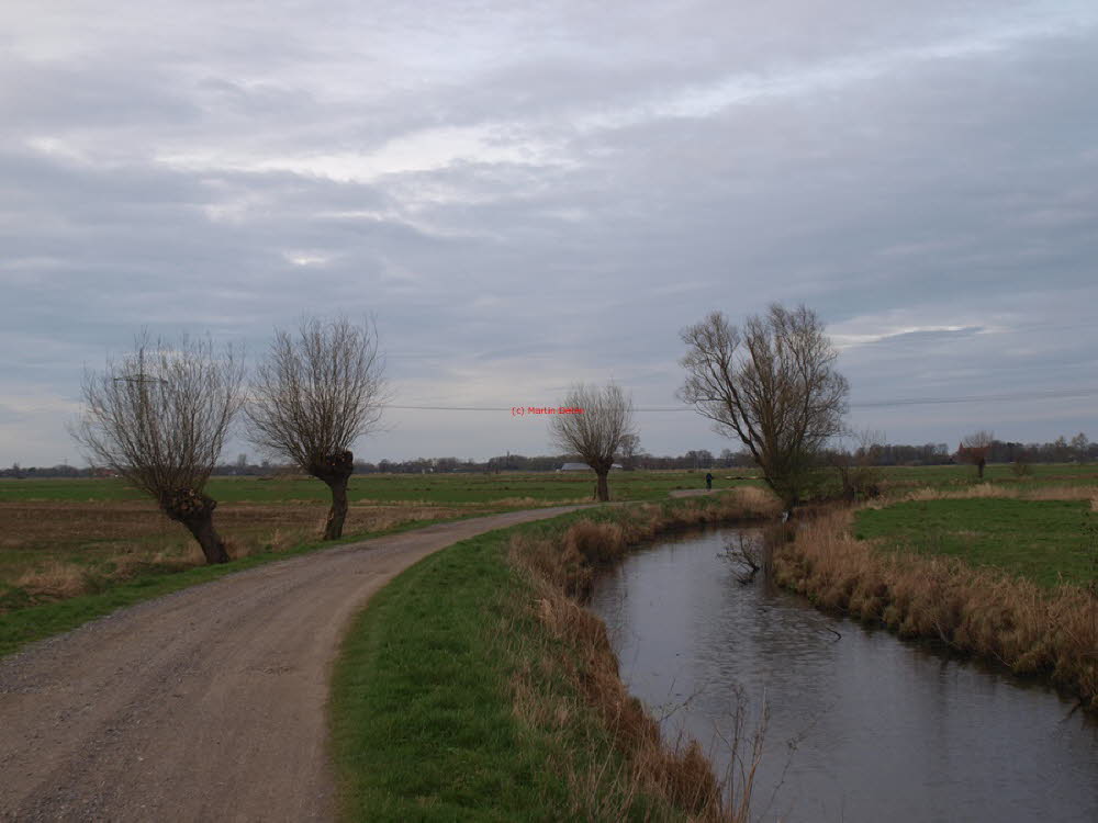 2024 (1339)