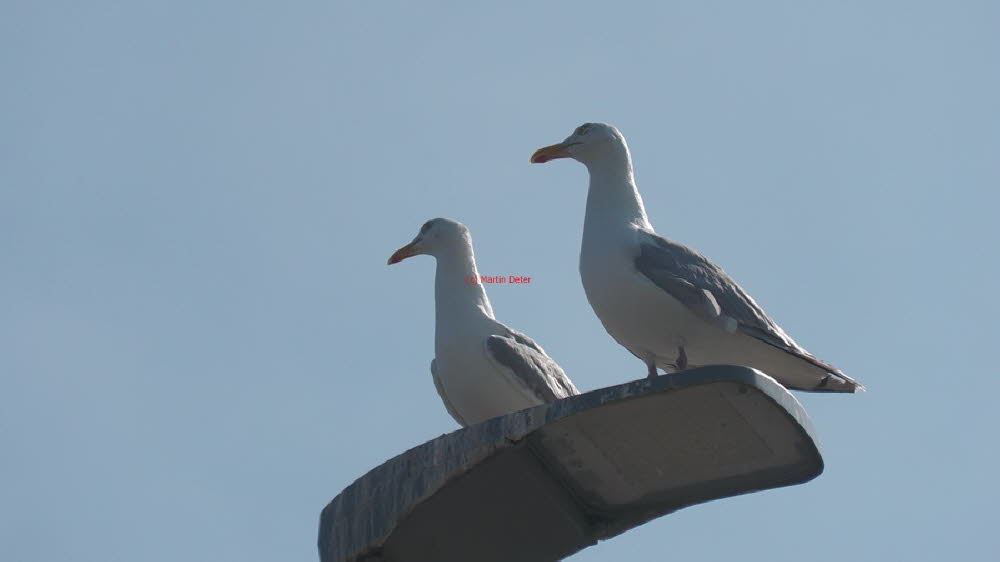 2024 (2338)