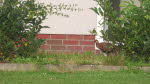 2024 (2439)